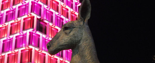 hummingbird perth loxcal search